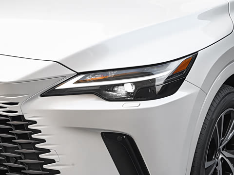 2025�� 350h ����������