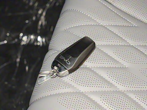 2025�� DM-i 1.5T 125km �콢��