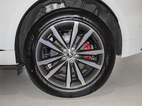 2025�� P250 R-Dynamic SE