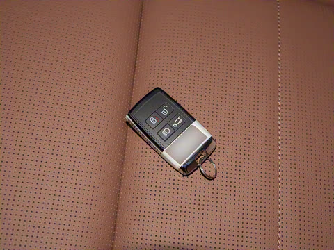 2025�� P250 R-Dynamic SE