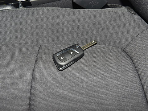 2024�� 2.0L �ȷ��