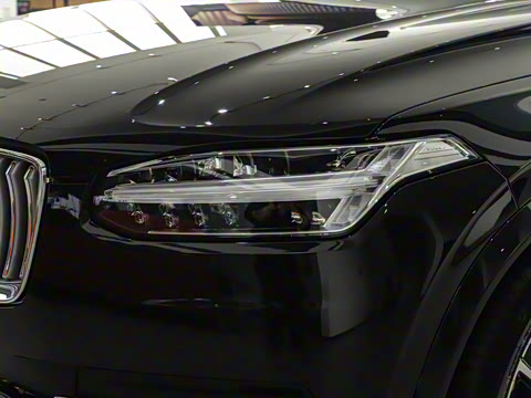 2025�� T8 ��������� 7��