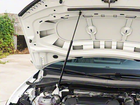 2025�� ���ڿ� 330TSI �Զ�����R-Line��ҫ��