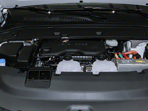 2024�� ���� 316������