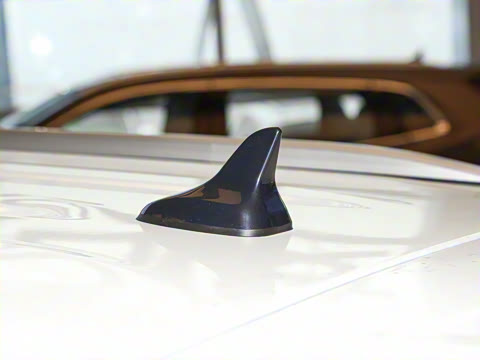 2024�� ����� 125 �캽�� �д��º�