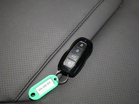 2025�� EcoBoost 170 ������PLUS