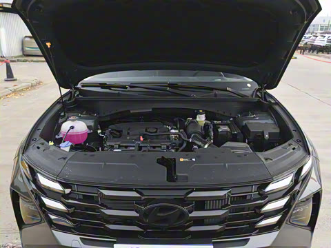 2025�� ;ʤL 1.5T �콢��