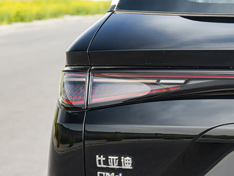 2025�� DM-i �Ǽݰ� 115KM������