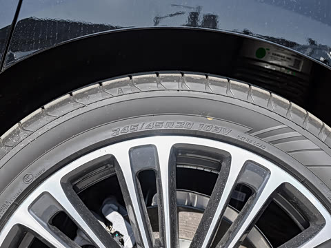 2024�� ���� Max ����������