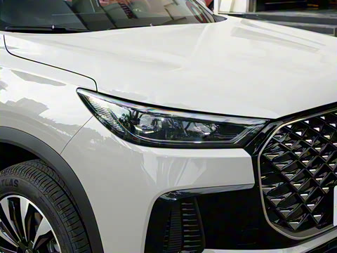 2025�� 290TGDI DCT�˷�� 