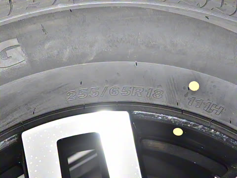 2024�� ����������