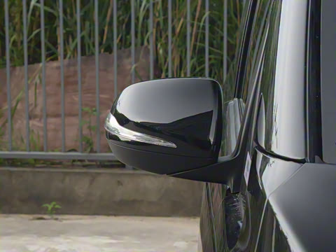 2024�� V 300 �캽��