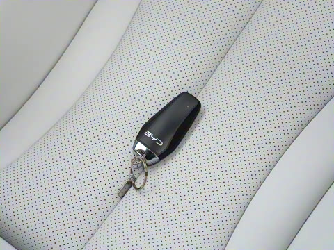 2024�� DM-i 80KM������