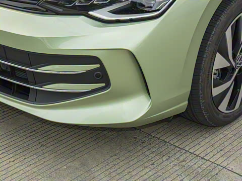 2025�� 300TSI Pro