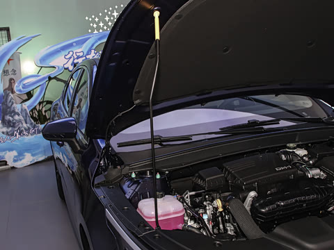 2024�� DM-i 55KM �캽��ҫ��