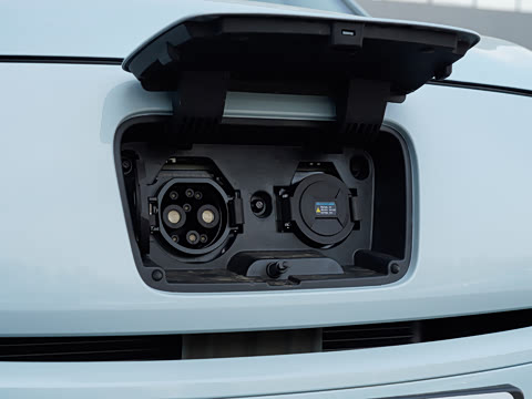 2025�� 310������