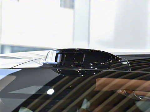 2025�� 825 Max��