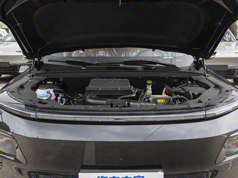 2024�� 1.5T 120km MAX 7��