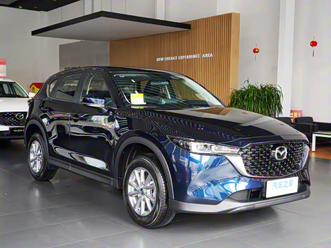 2024�� 2.0L �Զ�����������