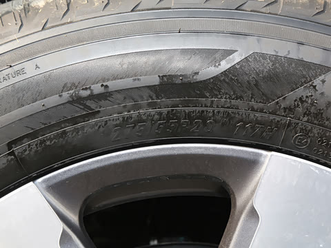 2024�� ���̱�׼�� 5��