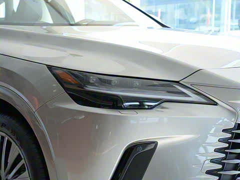 2025�� 350h ����������