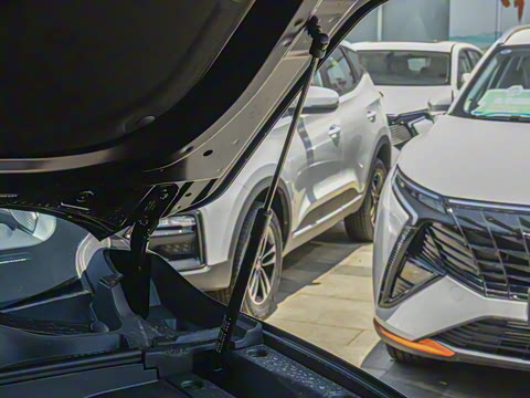 2024�� 1.6T ɽ��� 5��