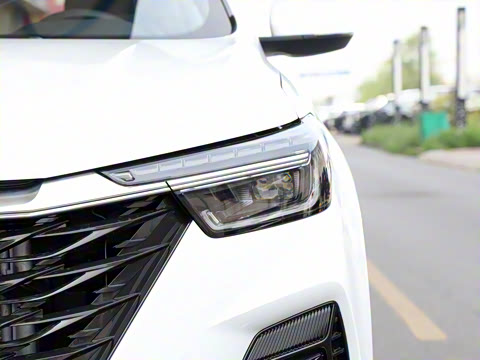 2025�� PLUS 330TGI �Զ��쳱�ǻݰ�