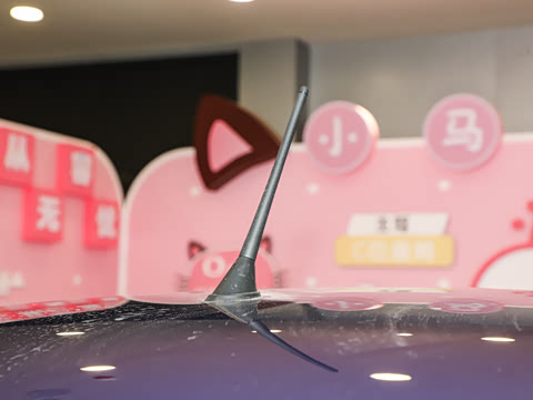 2025�� 222km ������