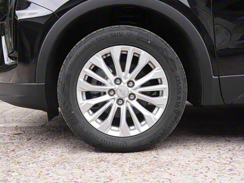 2024�� 25T ����������