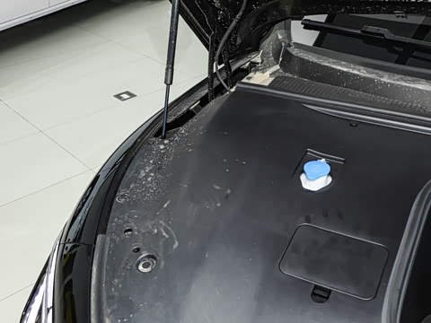 2024�� 555������