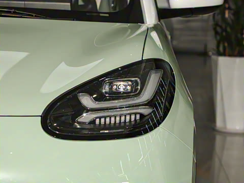 2024�� 333km ������