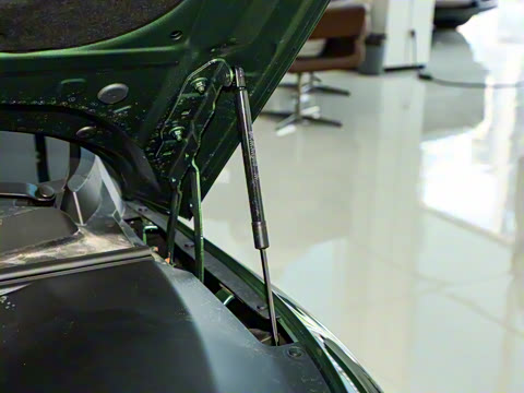 2024�� 555������