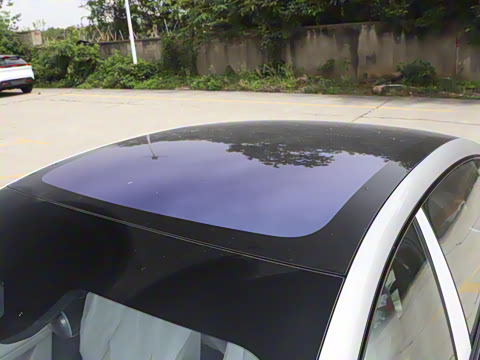 2025�� ���� 230Pro�캽��