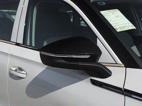 2024�� 380TSI ����R-LineѲ�� ������