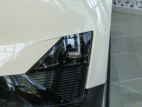 2025�� 530km ����Pro