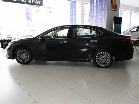 2024�� ˫�� 2.0HGVP ������