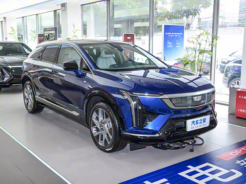 2024�� ������������