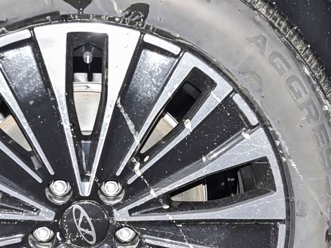 2025�� 1.5T 116km ����� 5��