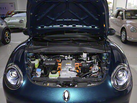 2024�� 401km ������