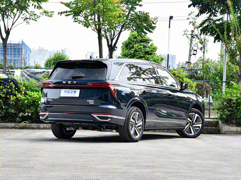 2025�� ���� Max