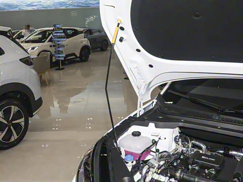 2025�� DM-i 150KM������