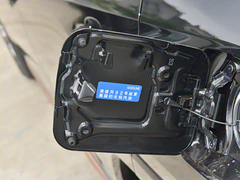 2024�� ˫�� 2.5L E-CVT��������PLUS��