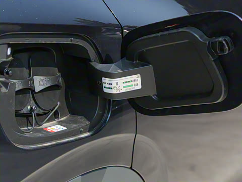 2024�� ����������