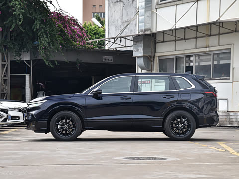 2025�� e:HEV ������ҫ��