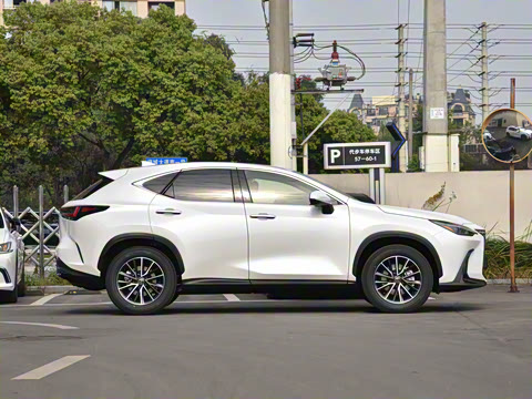 2025�� 260 ǰ�� �ر��