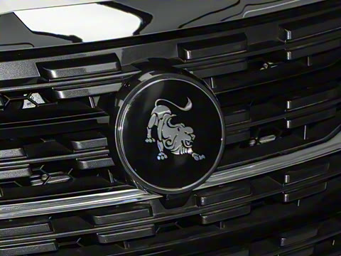 2024�� 2.0L �ֶ�������CNG 7��