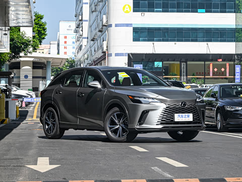 2025�� 300 ����������