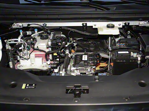 2025�� 520������