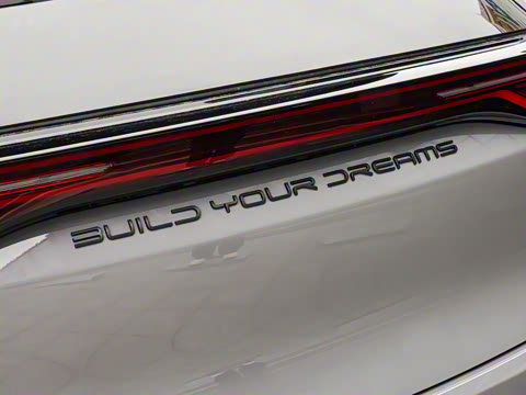 2025�� DM-i 115KM �����콢��