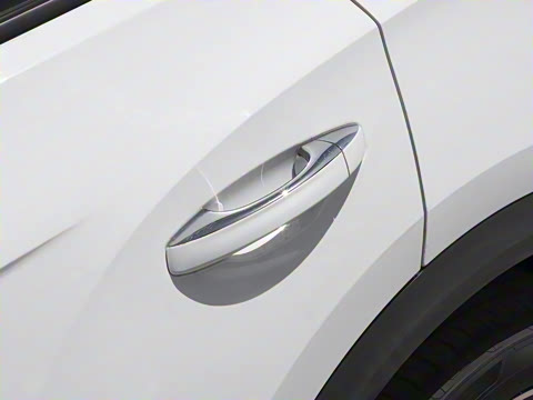 2025�� �Ŀ� 300TSI DSG���������